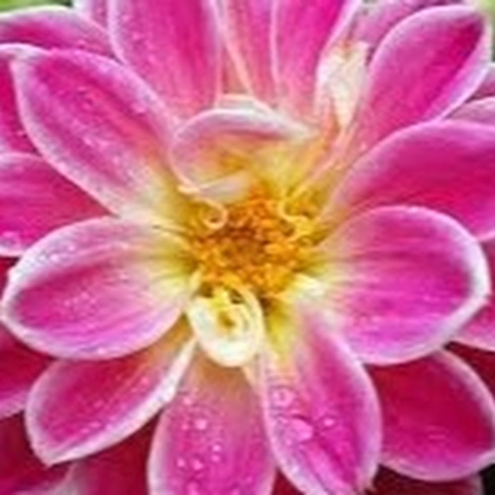 Meet your Posher, Katelyn